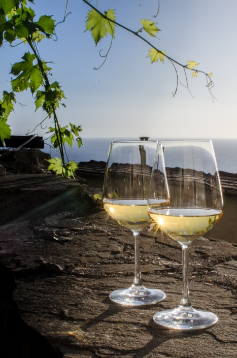 vino al tramonto